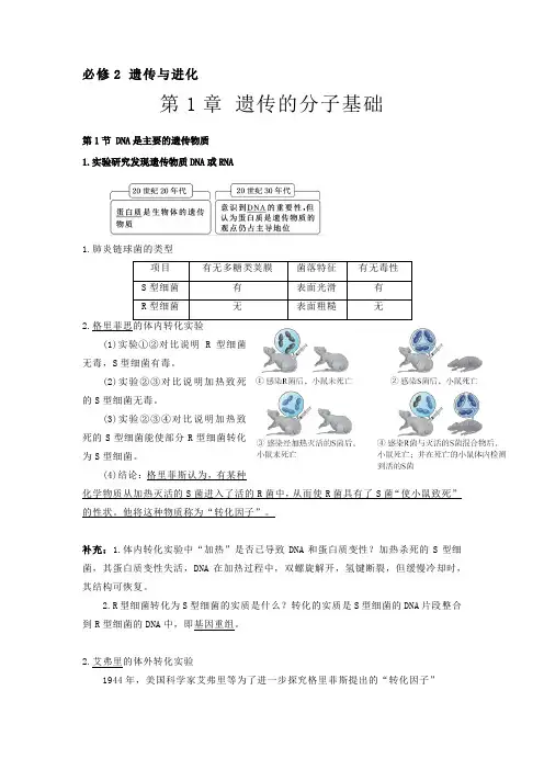 第1章 遗传的分子基础-【知识手册】高一生物必背知识清单(沪科2020版必修2)_1
