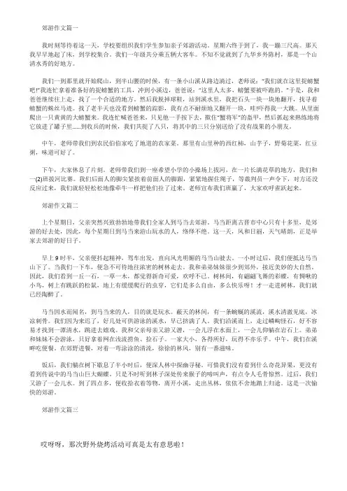 一次有趣的郊外活动400字