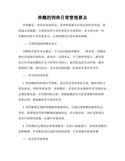 养鹅的饲养日常管理要点