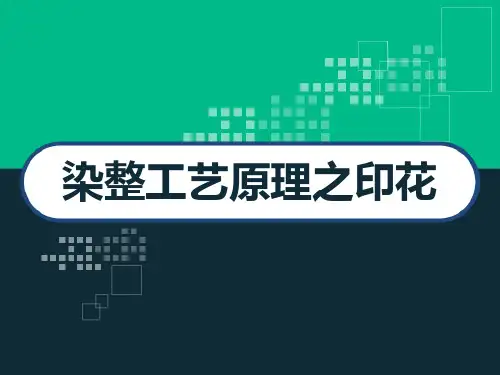 染整工艺原理之印花 PPT
