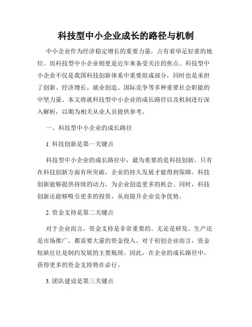 科技型中小企业成长的路径与机制