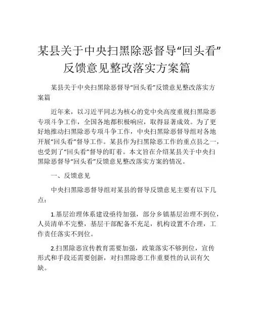 某县关于中央扫黑除恶督导“回头看”反馈意见整改落实方案篇