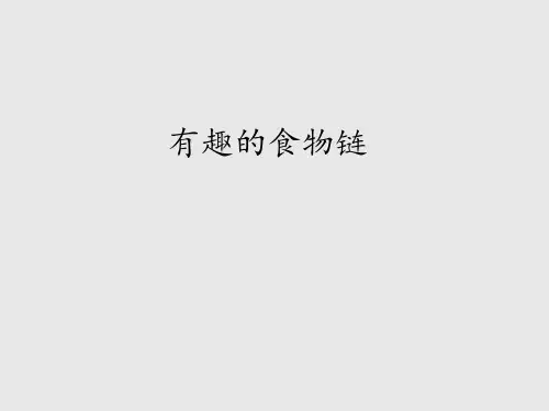 苏教版小学六年级科学下册有趣的食物链_课件1