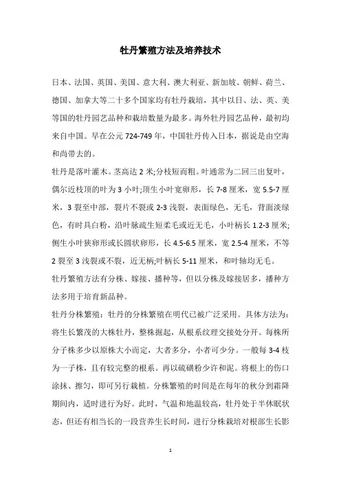 牡丹繁殖方法及培养技术