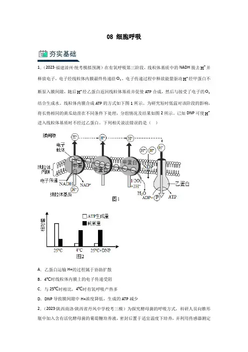 人教版2024年高考化学一轮复习《分层训练08 细胞呼吸》