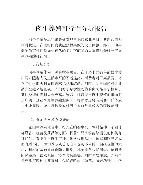 肉牛养殖可行性分析报告