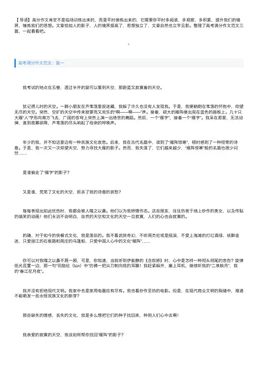 高考满分作文范文：怀想天空