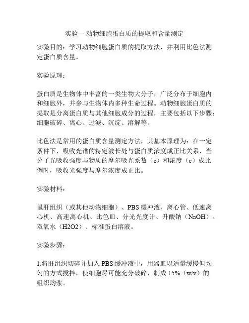 实验一 动物细胞蛋白质的提取和含量测定