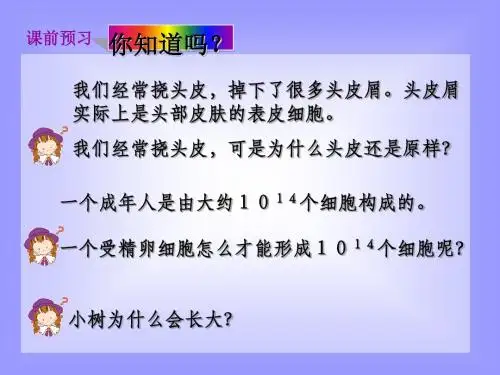 细胞增殖、分化、衰老 PPT课件 苏教版
