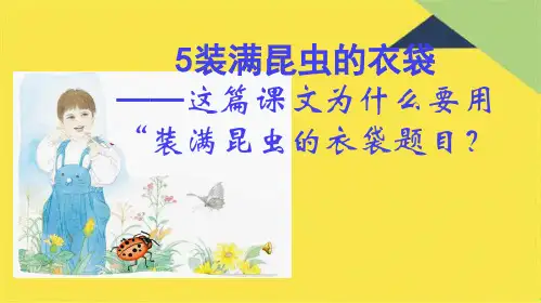 5装满昆虫的衣袋(共8张PPT)