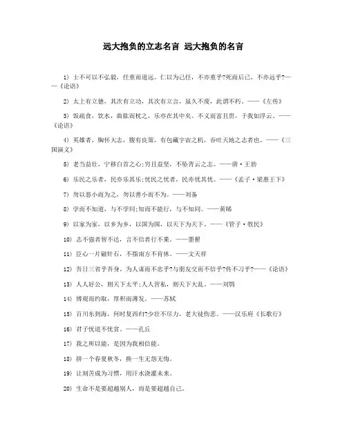 远大抱负的立志名言 远大抱负的名言