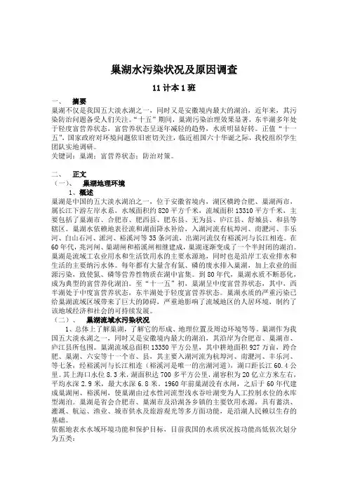 巢湖水污染状况及原因调查报告 精华版