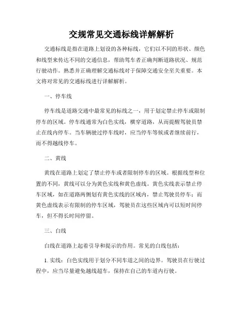 交规常见交通标线详解解析