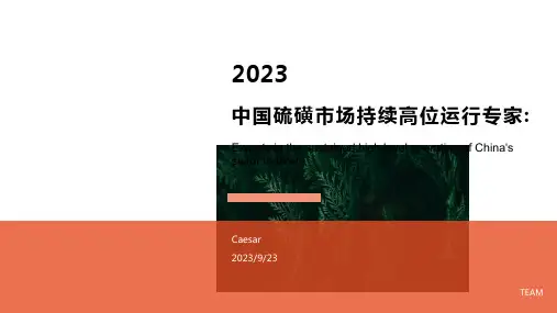 2023年中国硫磺市场行情分析报告模板