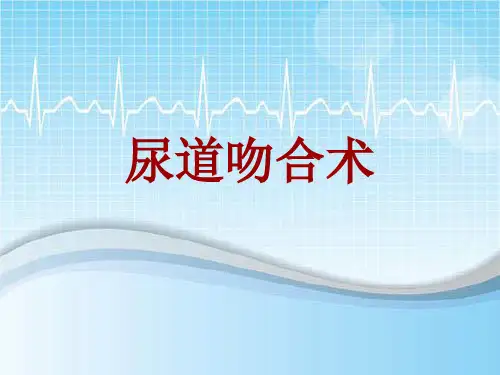 手术讲解模板：尿道吻合术