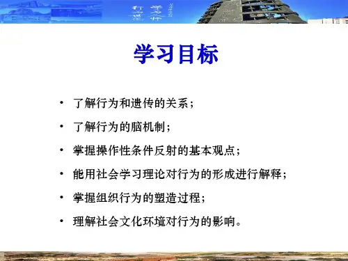 第二章个体行为基础组织行为学高等教育精品课件无师自通从零开始
