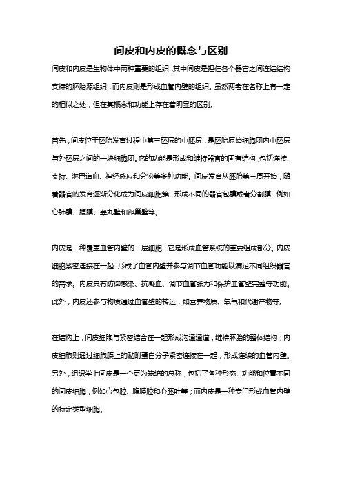 间皮和内皮的概念与区别