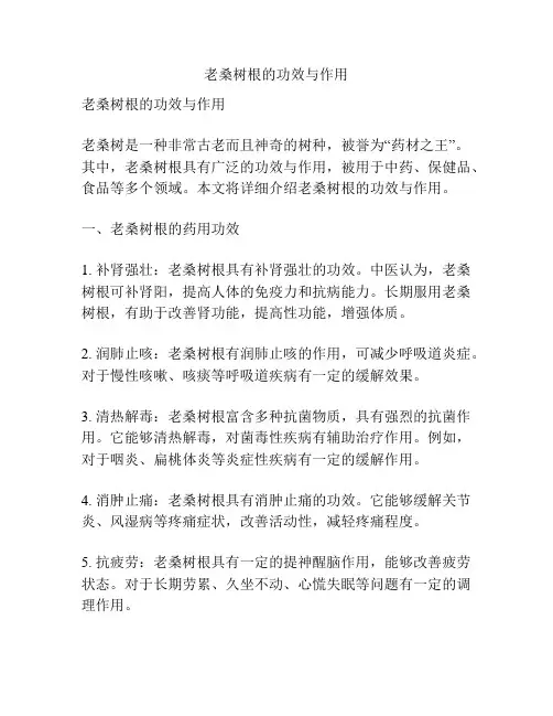 老桑树根的功效与作用