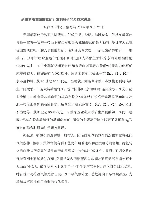 新疆罗布泊硝酸盐矿开发利用研究及技术进展