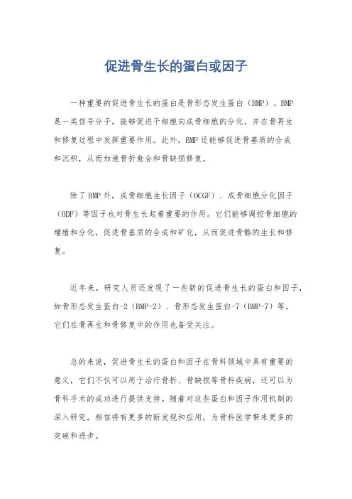 促进骨生长的蛋白或因子