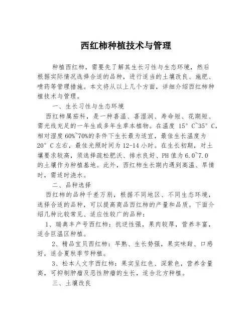 西红柿种植技术与管理