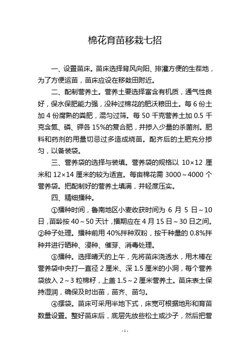 棉花育苗移栽七招