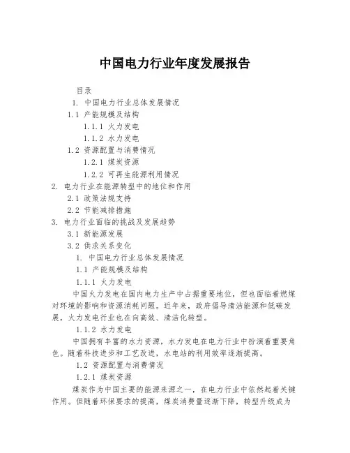 中国电力行业年度发展报告