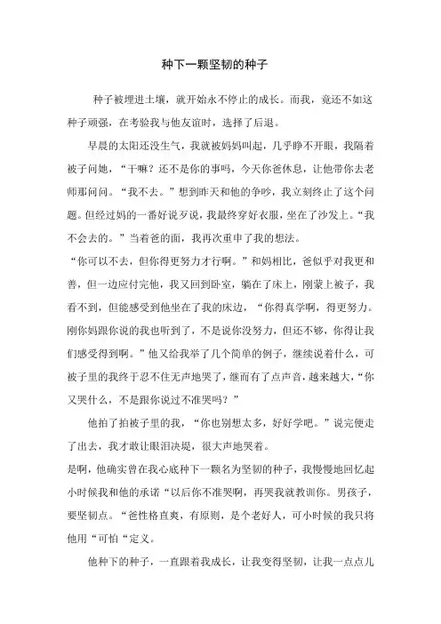 种下坚韧的种子作文800字