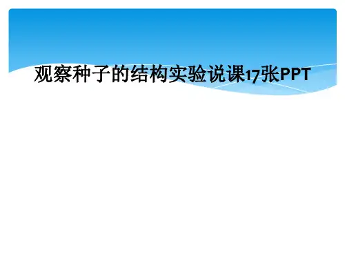 观察种子的结构实验说课17张PPT
