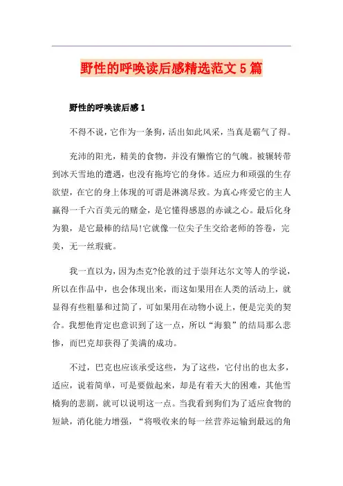 野性的呼唤读后感精选范文5篇
