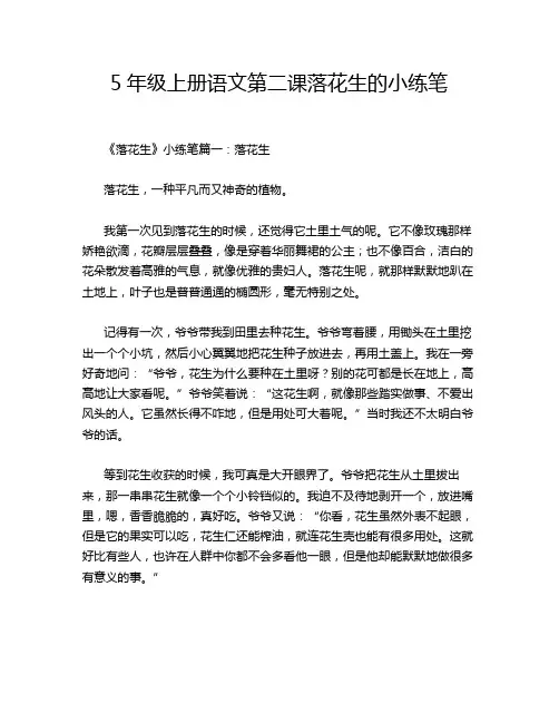 5年级上册语文第二课落花生的小练笔