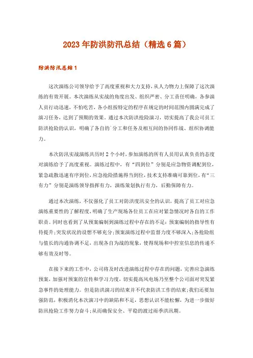 2023年防洪防汛总结(精选6篇)