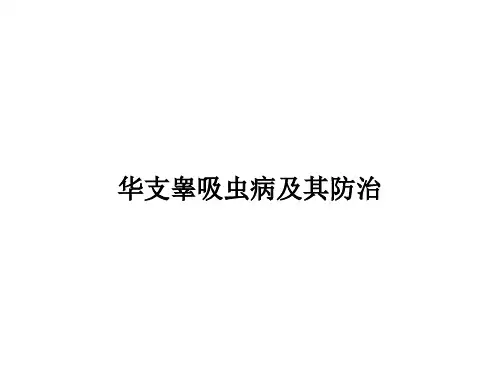 [医学]华支睾吸虫病及其防治