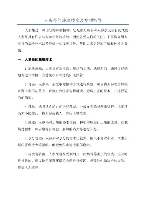 人参果的栽培技术及视频指导