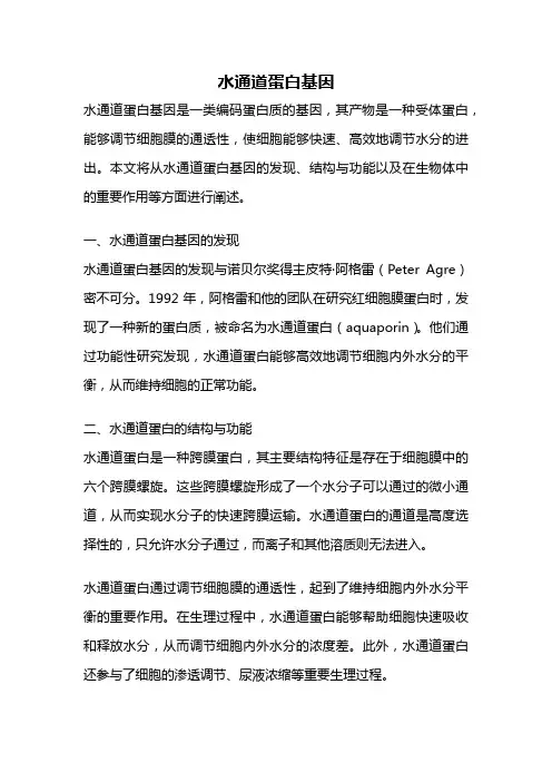 水通道蛋白基因