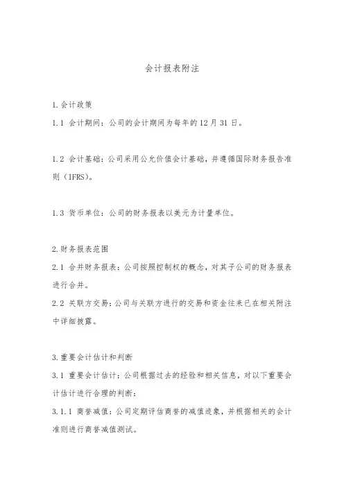 会计报表附注(标准版)