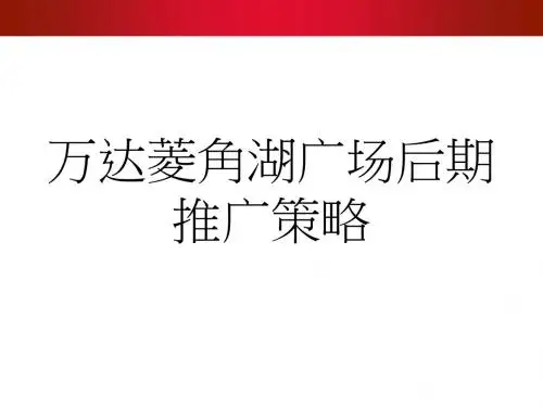 万达湖北武汉万达菱角湖广场项目后期营销推广策略报告