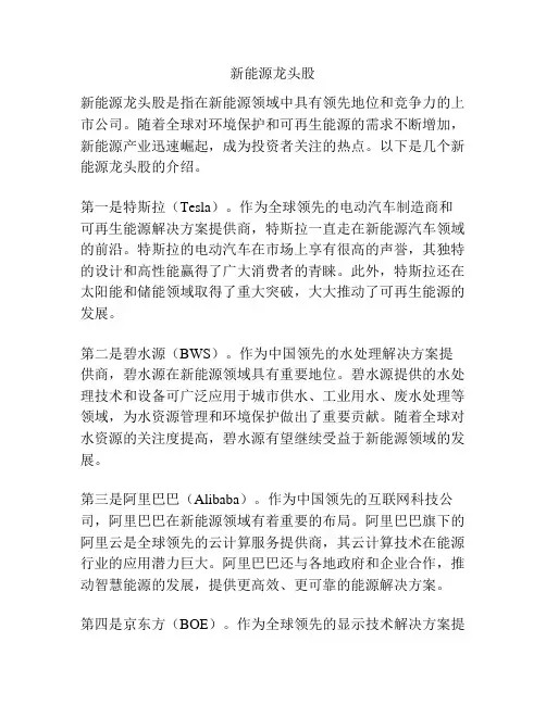 新能源龙头股