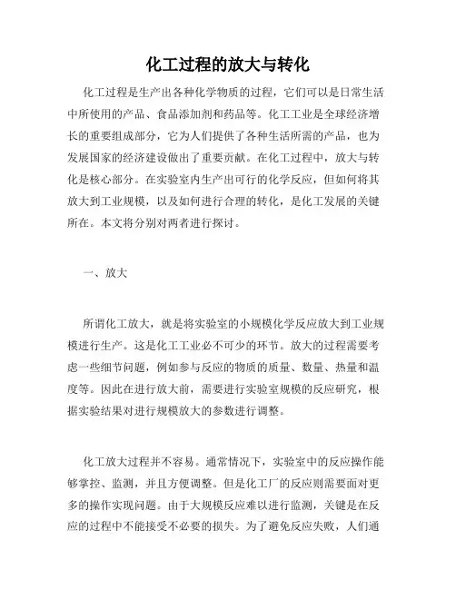化工过程的放大与转化