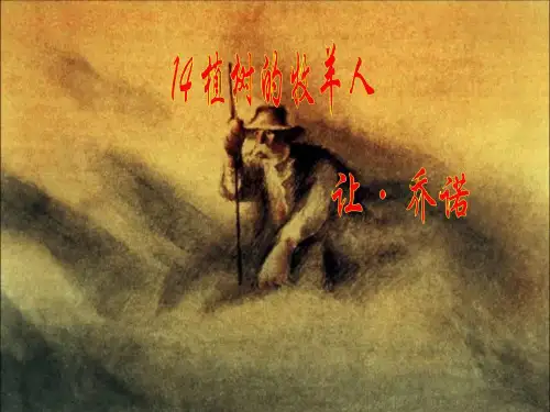 14植树的牧羊人-(共24张PPT)