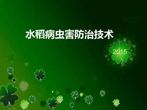 水稻病害(一)水稻苗期病害精品PPT课件