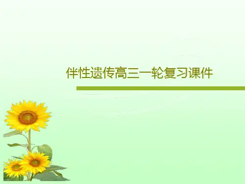 伴性遗传高三一轮复习课件43页PPT