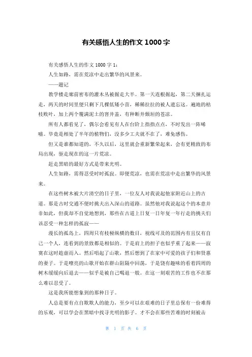 有关感悟人生的作文1000字