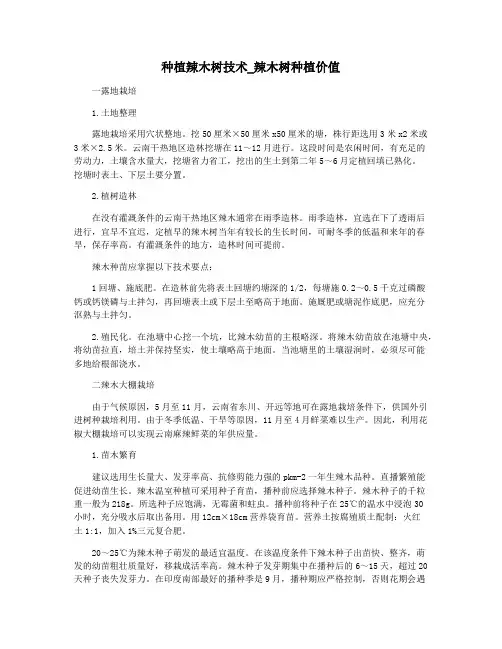 种植辣木树技术_辣木树种植价值