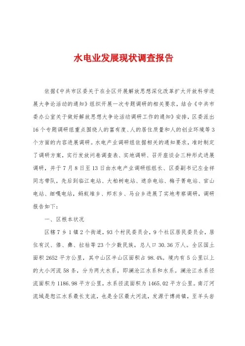 水电业发展现状调查报告