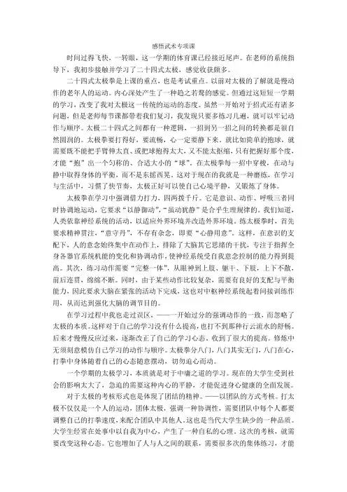 太极拳论文