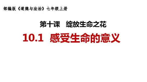 10.1 感受生命的意义  课件(23张PPT)-2023-2024学年统编版道德与法治七年级上册