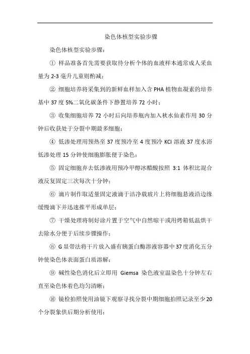 染色体核型实验步骤