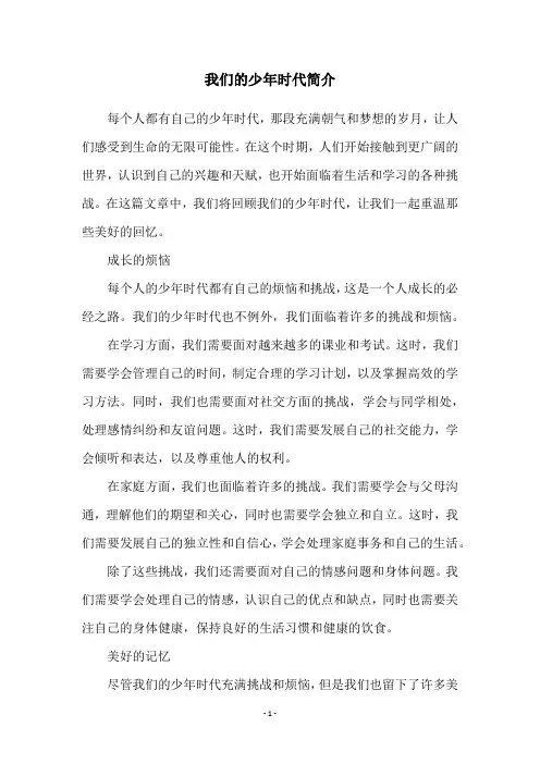 我们的少年时代简介
