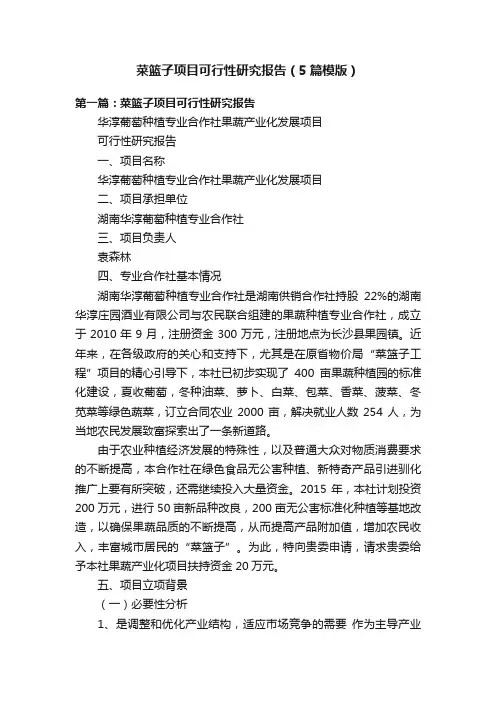 菜篮子项目可行性研究报告（5篇模版）